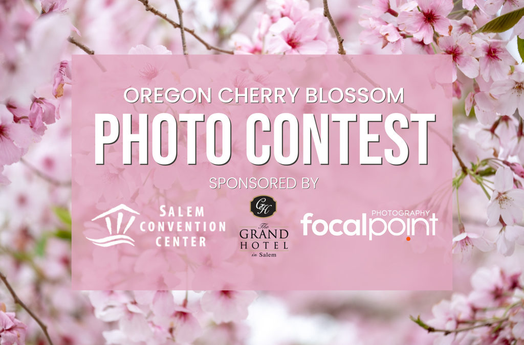 Oregon Cherry Blossom Photo Contest