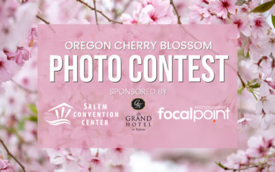 Oregon Cherry Blossom Photo Contest