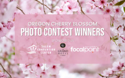 Oregon Cherry Blossom Photo Contest Winners 2023